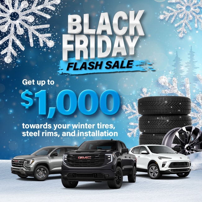 Black Friday Flash Sale